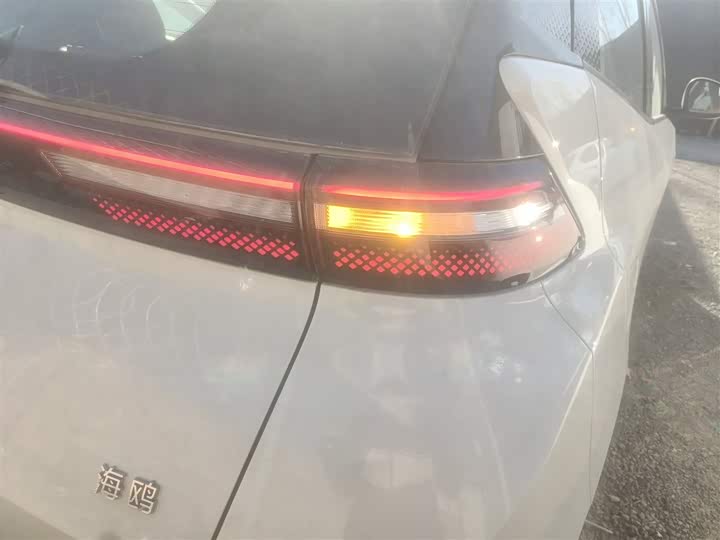 Фото 8 - BYD Seagull