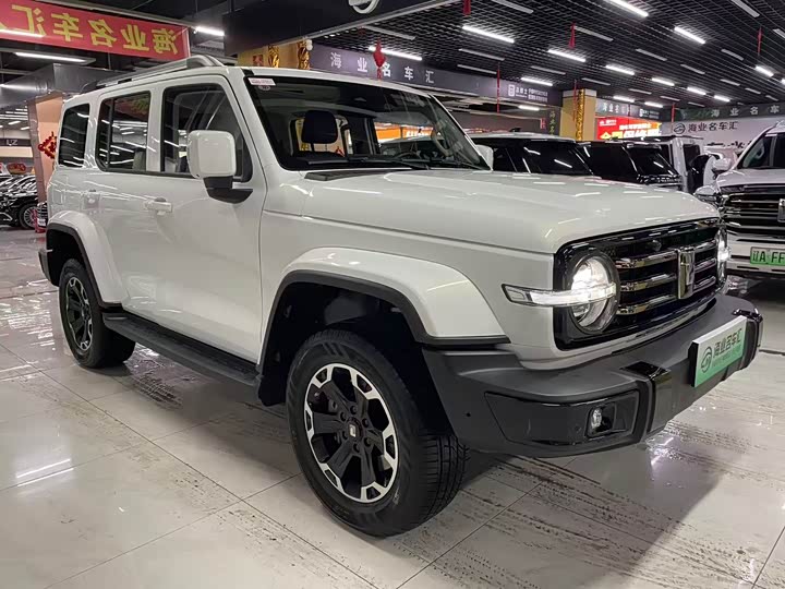 Фото 3 - Tank 300 Hybrid