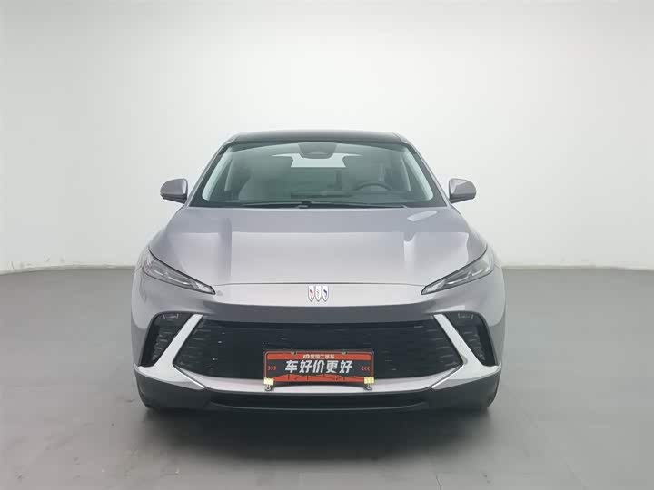 Фото 3 - Buick Electra E4