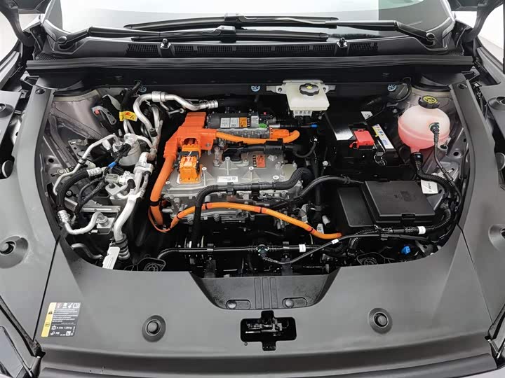 Фото 6 - Buick Electra E4