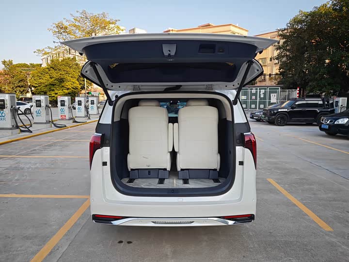 Фото 9 - Buick GL8 Century