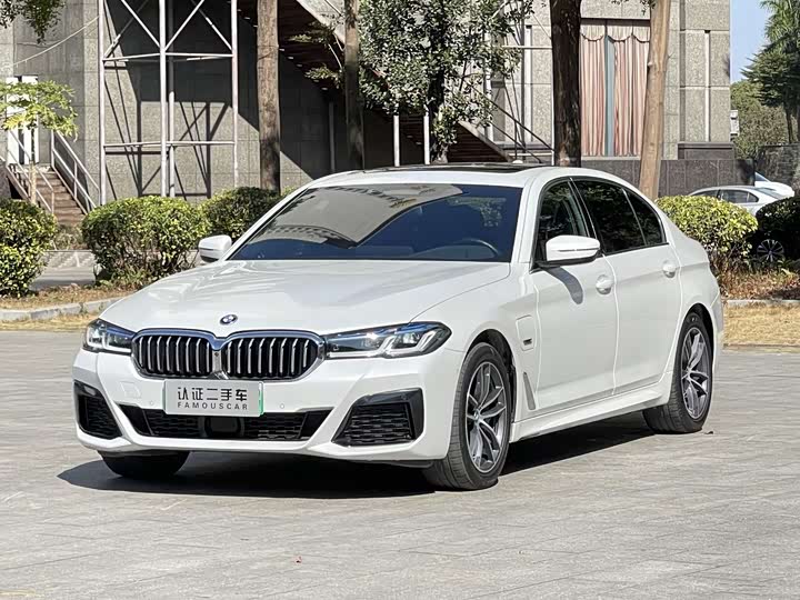 Фото 1 - BMW 5 Series Hybrid