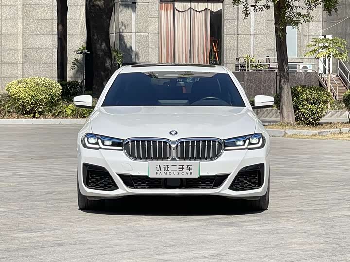 Фото 2 - BMW 5 Series Hybrid