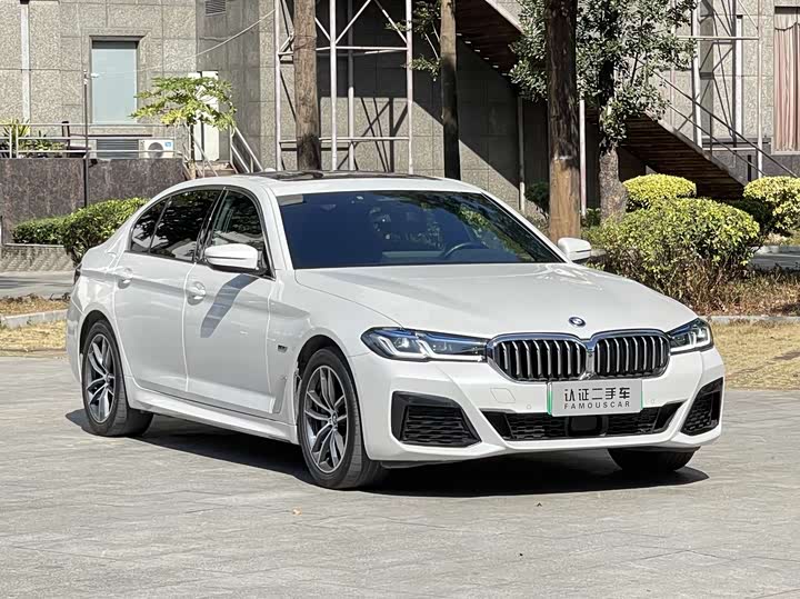 Фото 3 - BMW 5 Series Hybrid