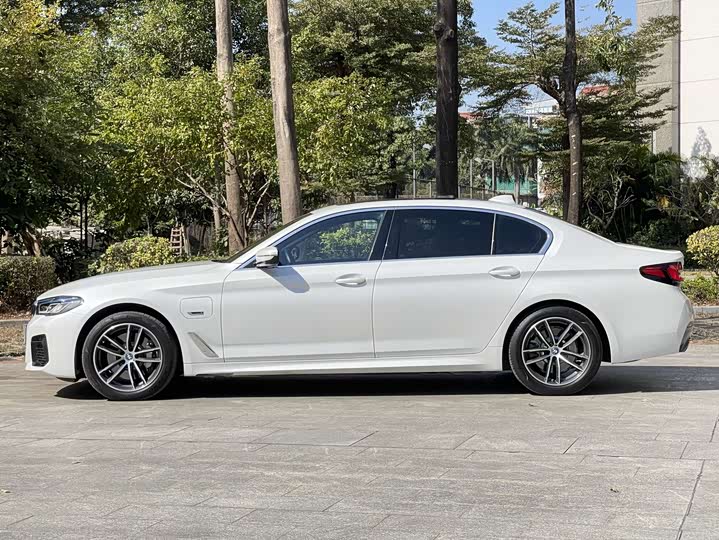 Фото 4 - BMW 5 Series Hybrid