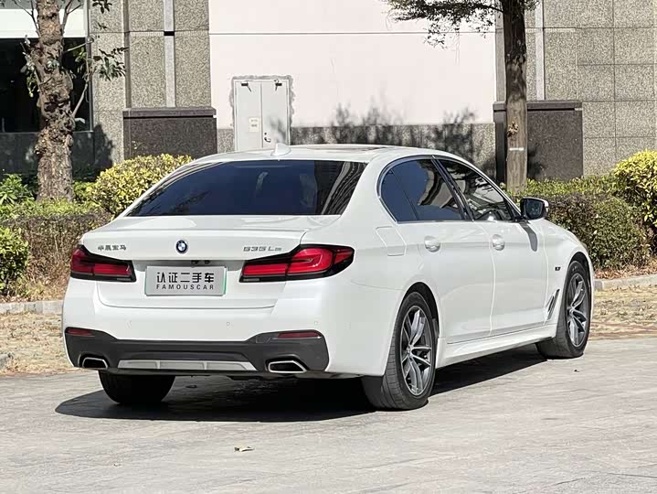 Фото 5 - BMW 5 Series Hybrid