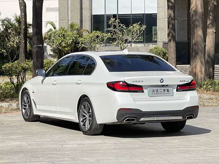 Фото 7 - BMW 5 Series Hybrid