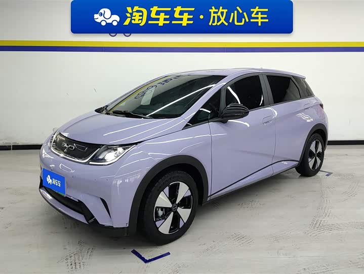 Фото 1 - BYD Dolphin