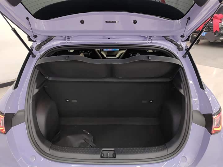 Фото 4 - BYD Dolphin