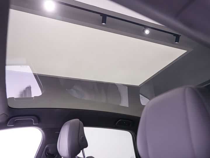 Фото 8 - XPeng F57