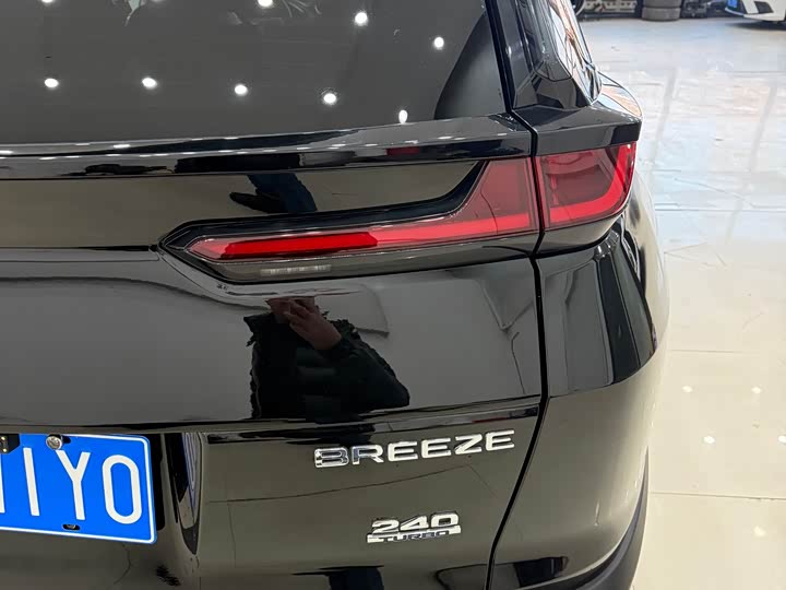 Фото 9 - Honda Breeze