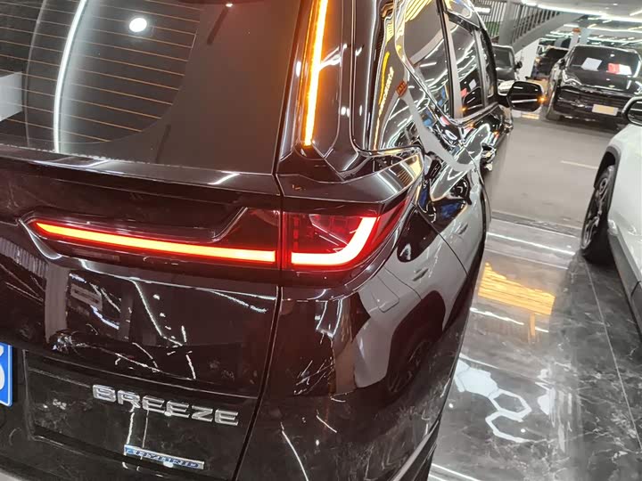 Фото 8 - Honda Breeze