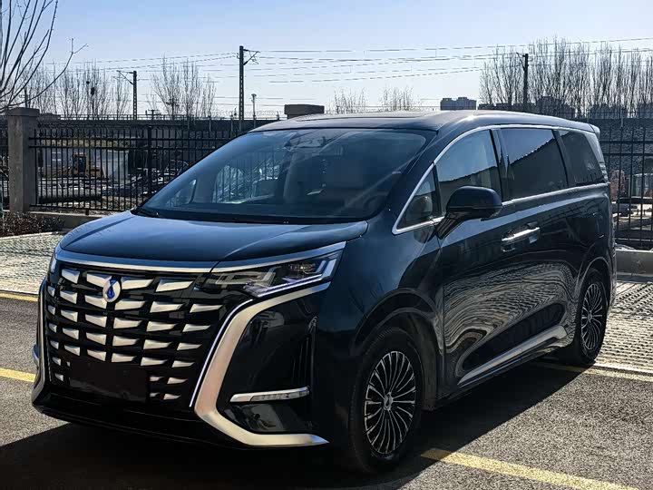 Фото 1 - Denza D9