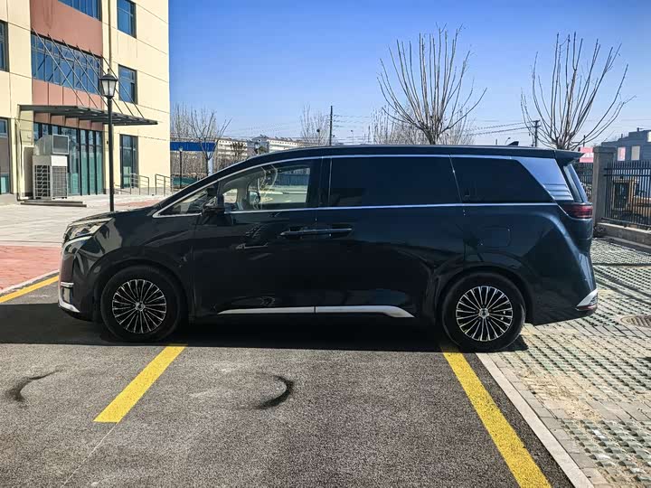 Фото 4 - Denza D9