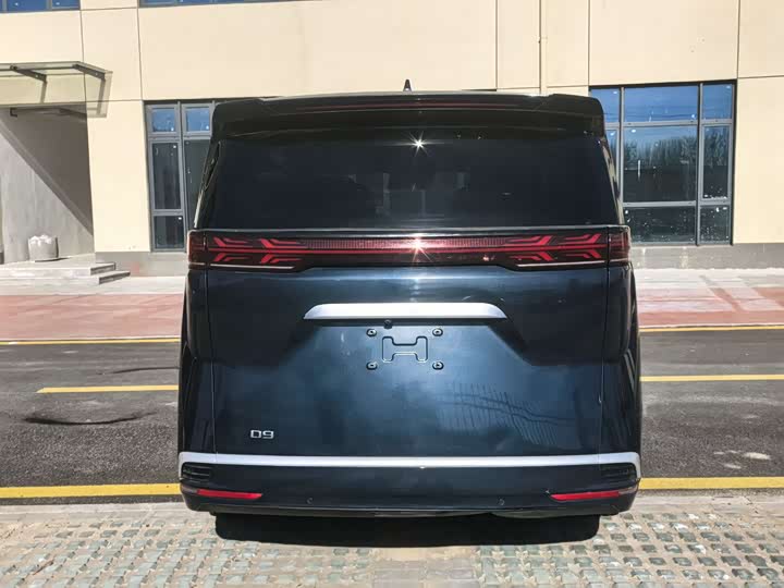 Фото 6 - Denza D9