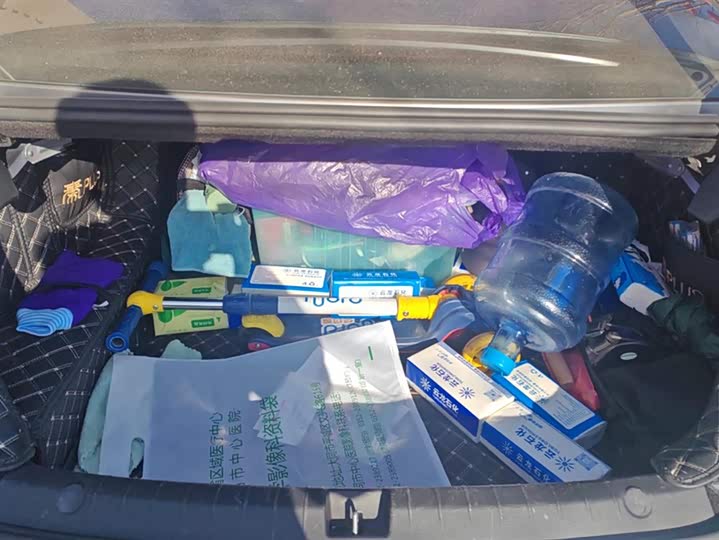 Фото 4 - BYD Qin Plus