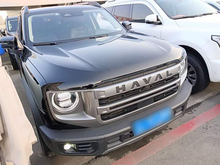 Фото 4 - Haval Dargo