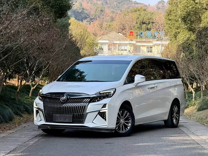 Фото 1 - Buick GL8 ES