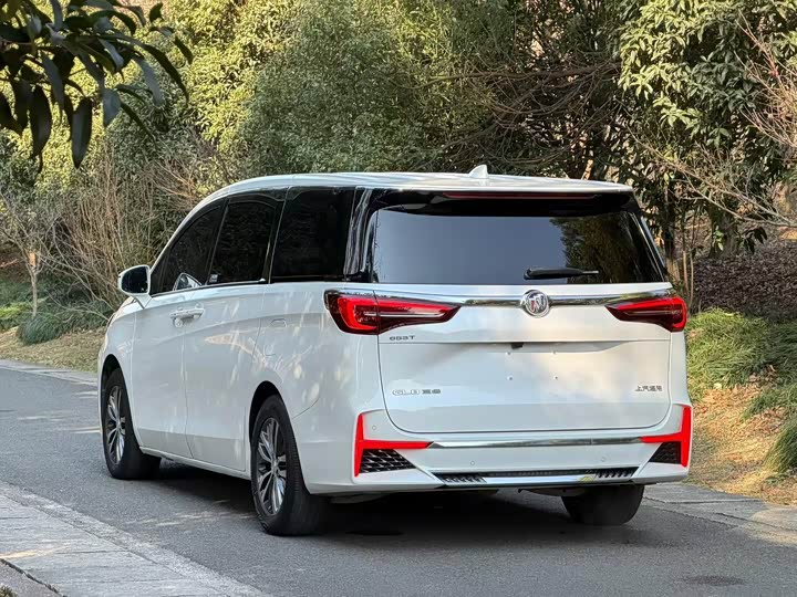 Фото 3 - Buick GL8 ES