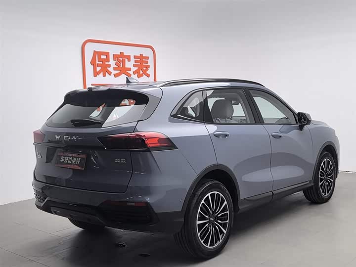 Фото 2 - Wey Latte DHT