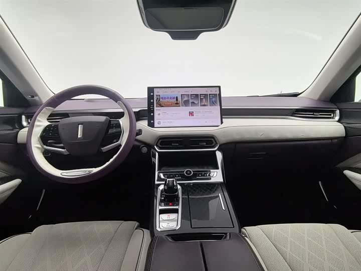 Фото 5 - Wey Latte DHT