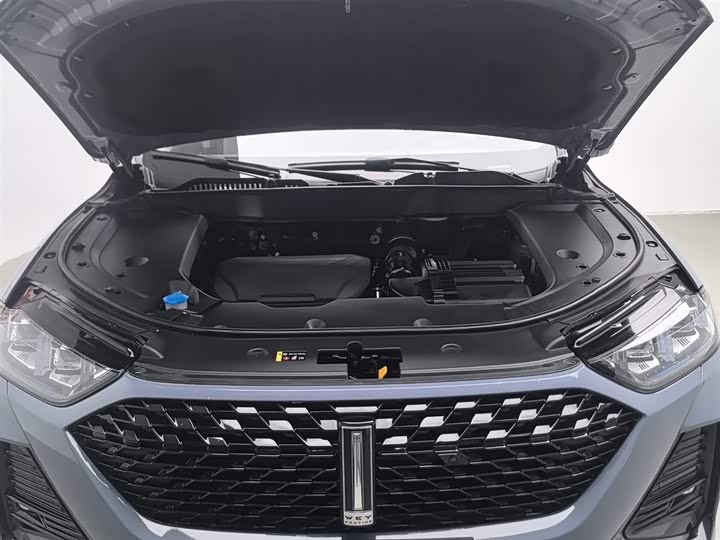 Фото 6 - Wey Latte DHT