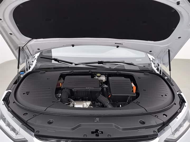 Фото 6 - BYD Han