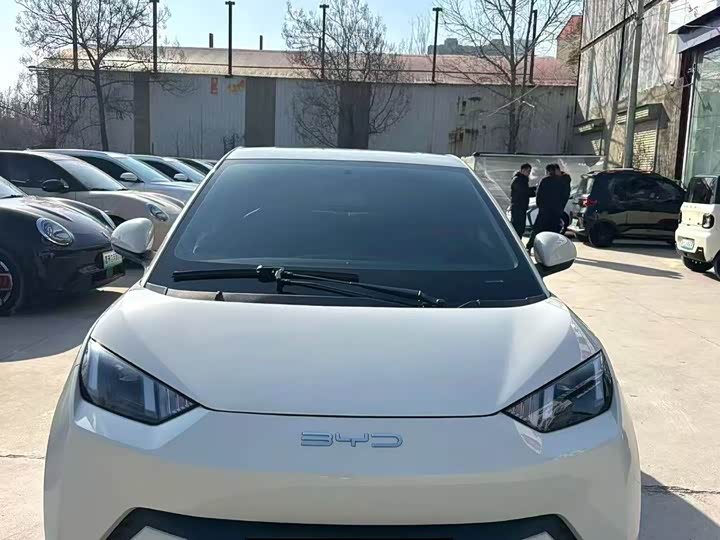 Фото 2 - BYD Seagull