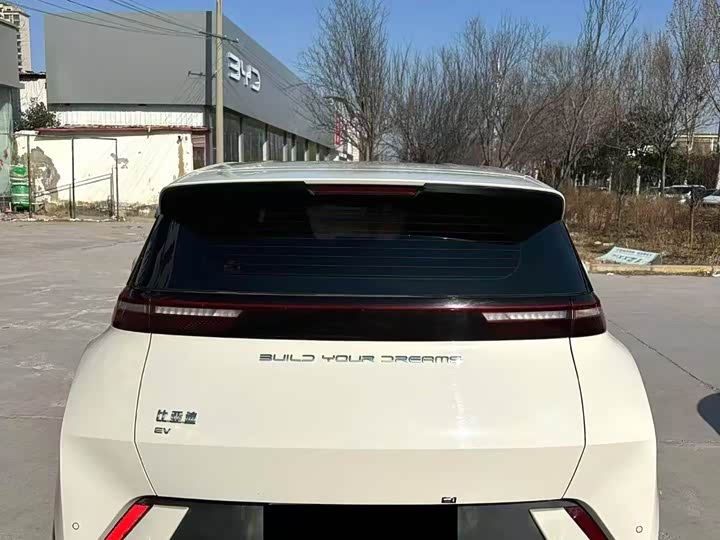 Фото 5 - BYD Seagull