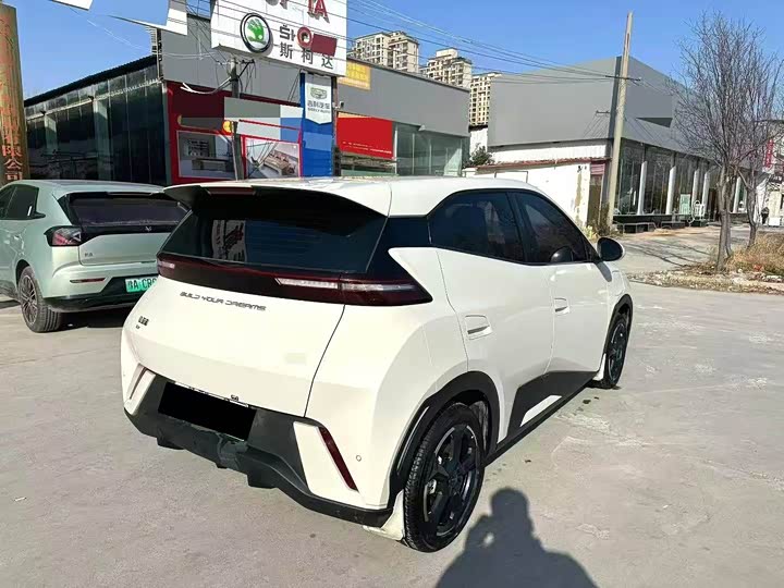 Фото 6 - BYD Seagull