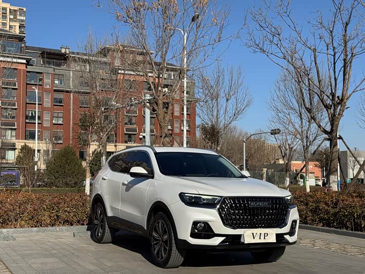 Фото 3 - Haval H6