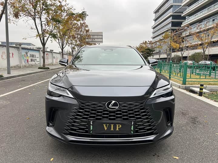 Фото 2 - Lexus RX Hybrid