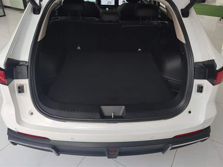 Фото 4 - Haval Ruge Max