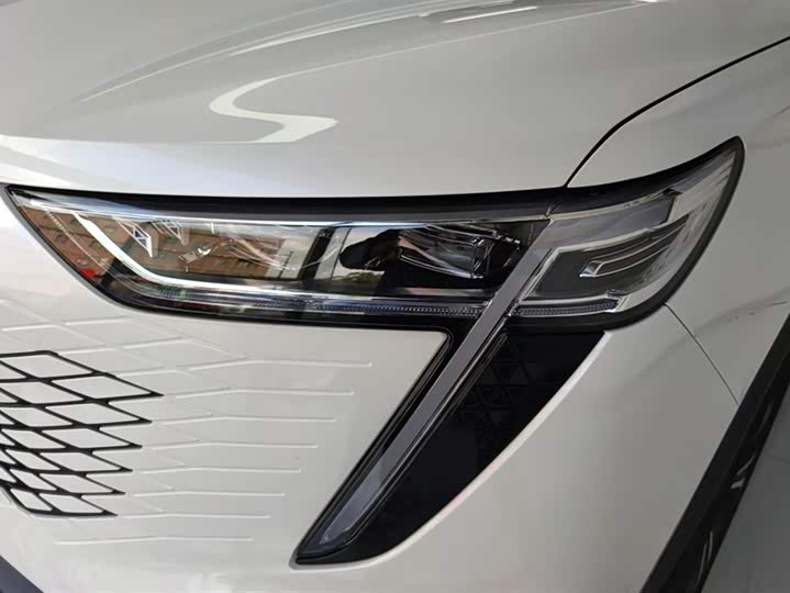 Фото 5 - Haval Ruge Max