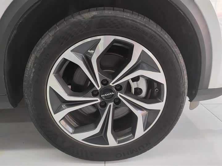 Фото 6 - Haval Ruge Max