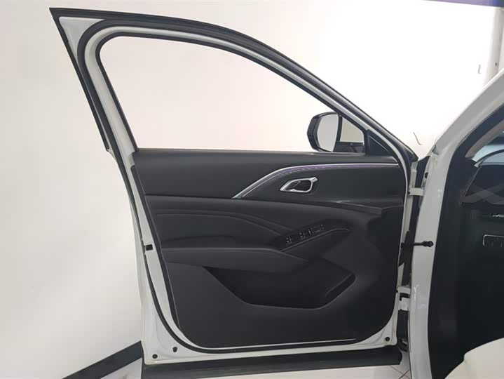 Фото 7 - Haval Ruge Max