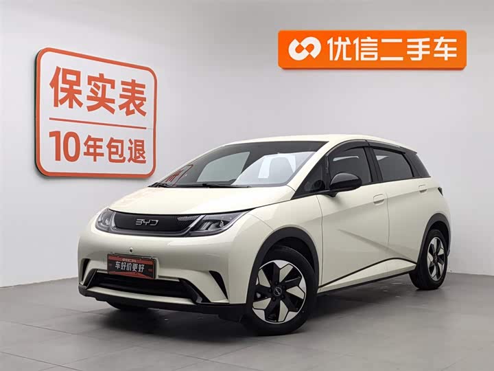 Фото 1 - BYD Dolphin