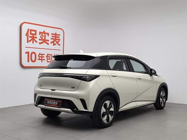 Фото 2 - BYD Dolphin