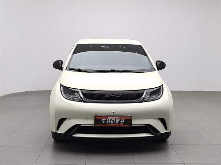 Фото 3 - BYD Dolphin