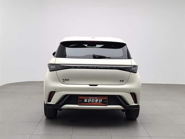 Фото 4 - BYD Dolphin