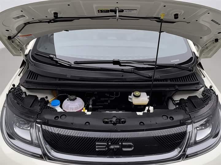 Фото 6 - BYD Dolphin