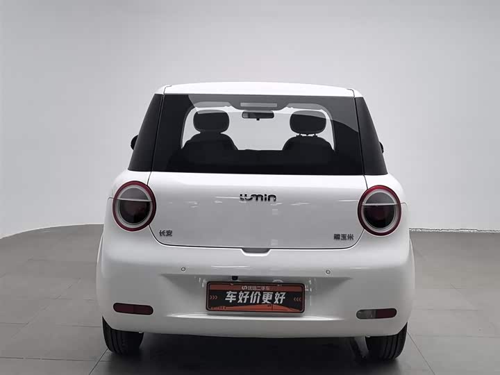 Фото 4 - Changan Qiyuan (Nevo) Lumin