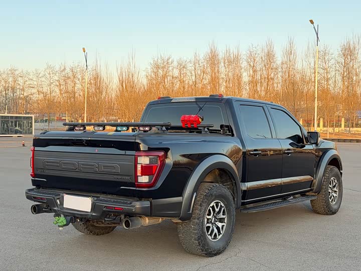 Фото 6 - Ford F-150 Raptor