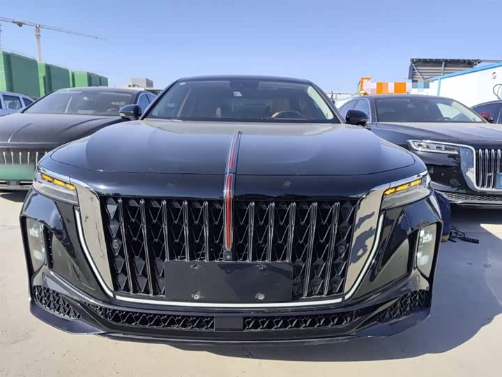 Фото 3 - Hongqi H9