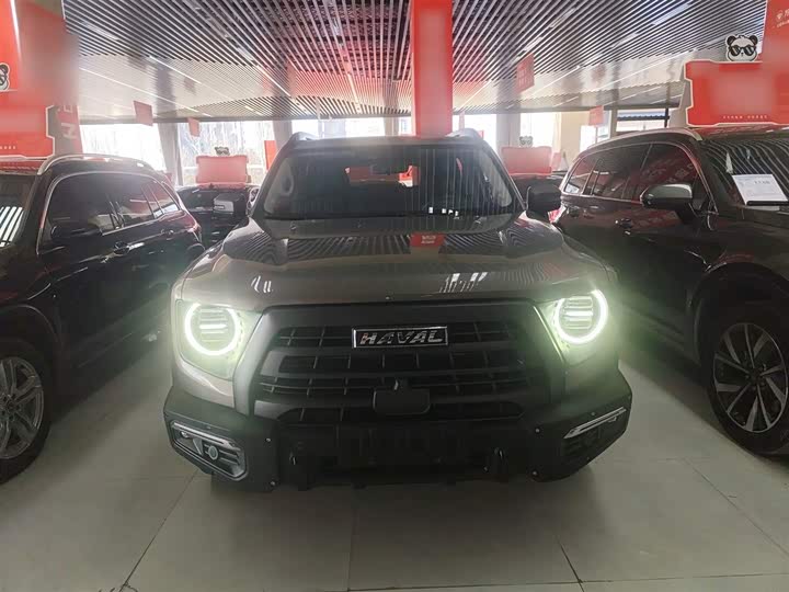 Фото 3 - Haval Dargo