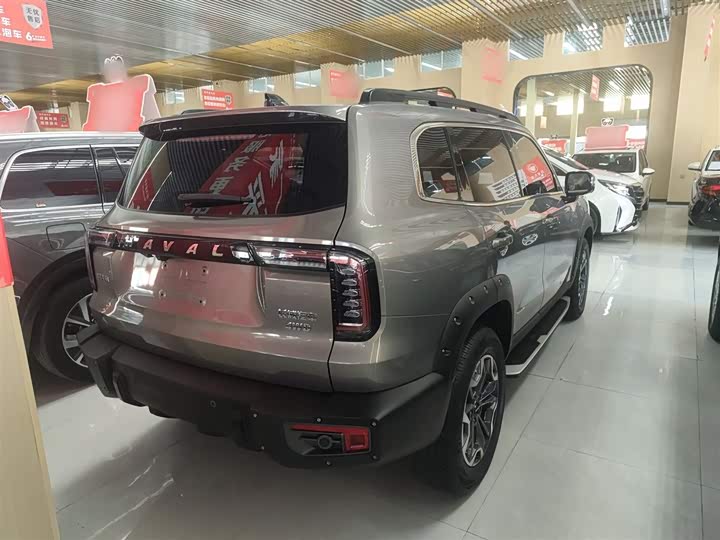 Фото 7 - Haval Dargo