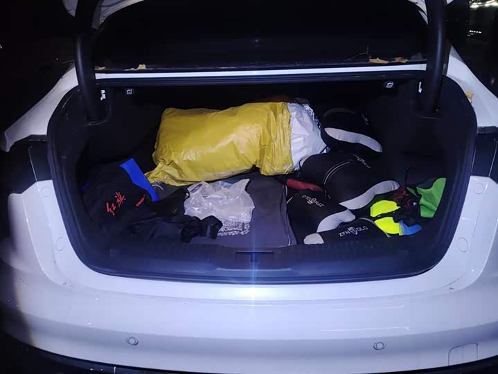 Фото 4 - Hongqi H5