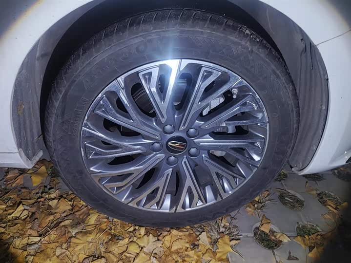 Фото 6 - Hongqi H5