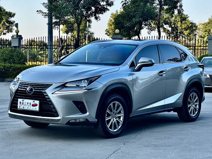 Фото 1 - Lexus NX