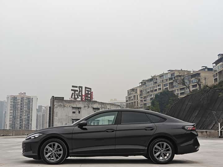 Фото 9 - Volkswagen Lamando L